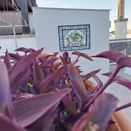 Casa Dei Filodendri San Pietro in Bevagna